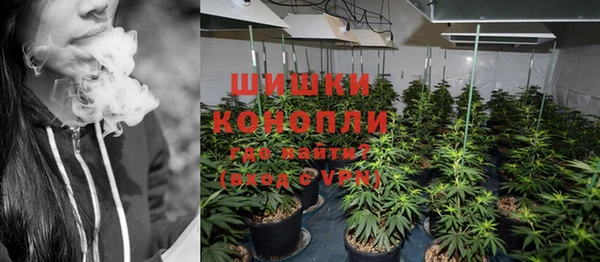 ГАЛЛЮЦИНОГЕННЫЕ ГРИБЫ Алексеевка