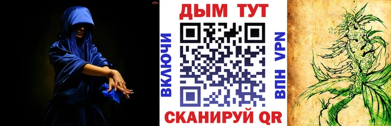 Конопля Amnesia  ОМГ ОМГ как войти  Покачи 